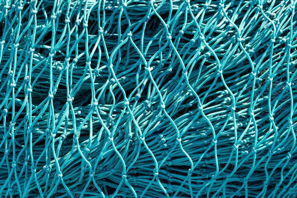 Votre Mode tuerait-elle la Planète? La Vérité sur les Tissus Synthétiques